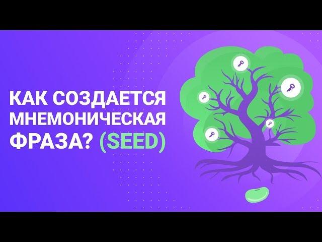 Как создается мнемоническая фраза? (Seed)