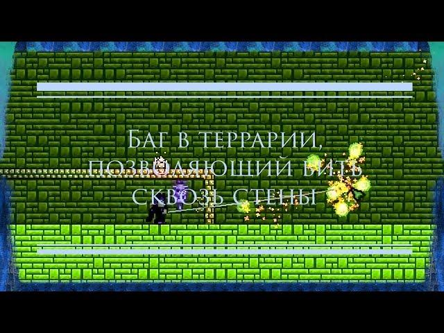 Баг в Террарии, позволяющий бить сквозь стены