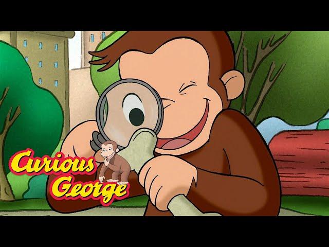 George Finds A Dinosaur Bone!  Curious George  Kids Cartoon  Kids Movies