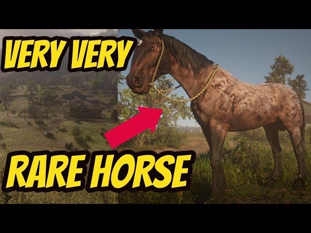 Red Dead Redemption 2 VERY VERY RARE HORSE !!  RAREST HORSE IN THE GAME