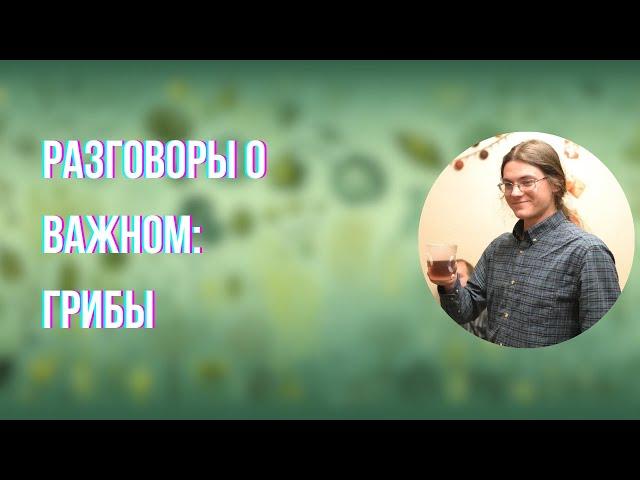 О самом главном и жизненных циклах: Грибы | Евгений Губанов