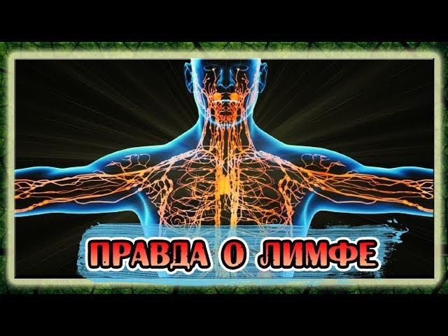 Лимфатическая система, о чем врачи не знают!