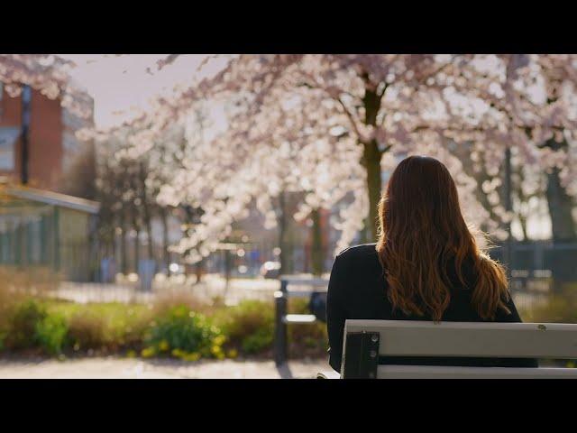 Toronto Metropolitan University: Your new home away from home