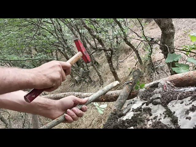 Learning how to build a tree house.survival and bushcraft cooking#survival#bushcraft#cooking#camp