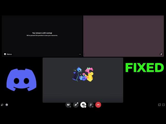 How To Fix Discord Screen Share Black Screen 2024