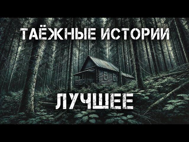 Таёжные Истории | Лучшее | Мистика Истории на ночь