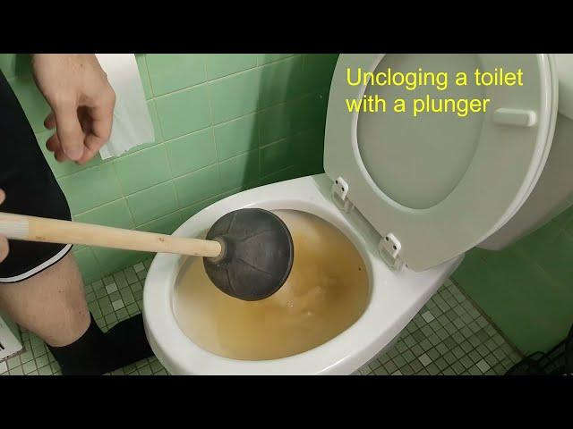 How to unclog a toilet with a plunger