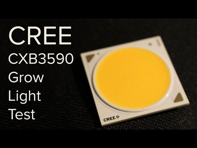 Cree CXB3590 test - Are CREE the best COB for grow lights?