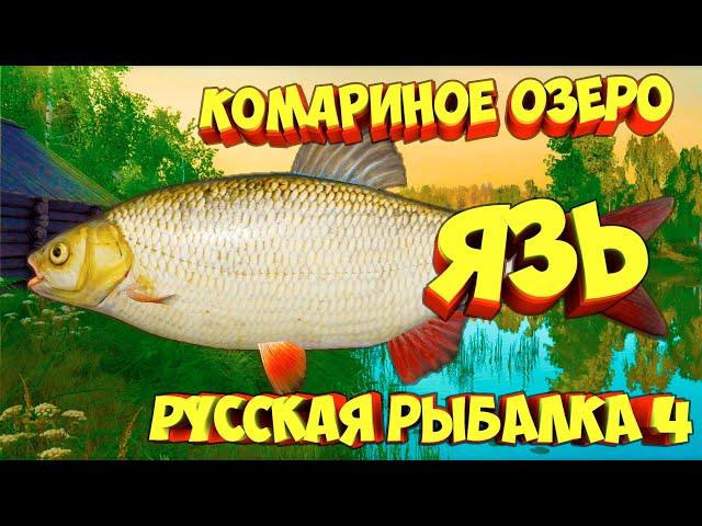 русская рыбалка 4 - Язь озеро Комариное - рр4 фарм Алексей Майоров russian fishing 4