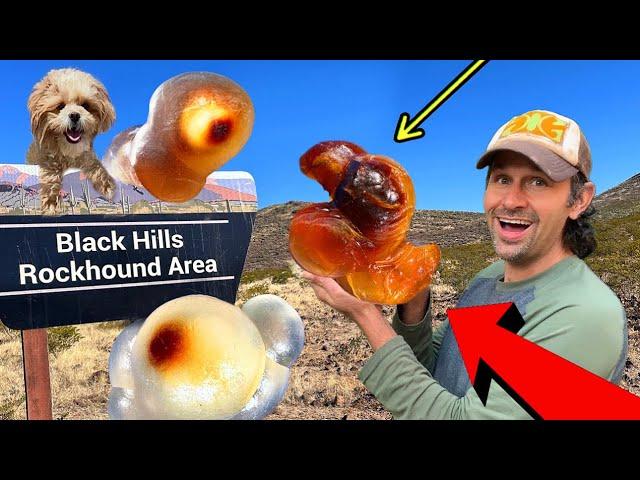 Rare Eyeball Agate Found at this FREE Dig Location!