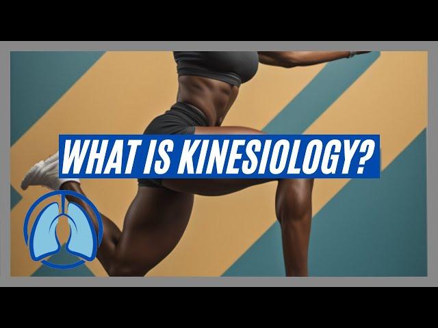 What Is Kinesiology ?