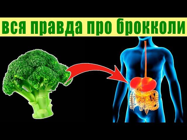 5 Уникальных Свойств БРОККОЛИ о которых Вы не догадывались