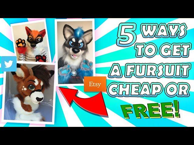 5 Ways to Get a Fursuit Cheap or For FREE