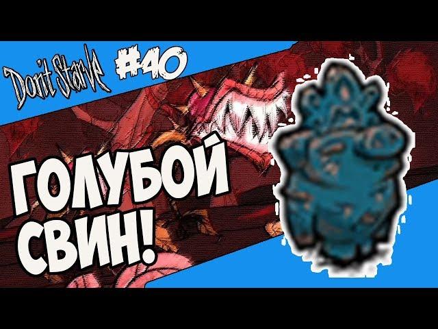 ГОЛУБОЙ СВИН! |40| Don't Starve [Hamlet, SW, RoG]