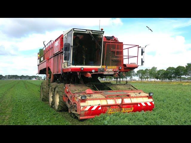 Doperwten oogst 2023 door Van Rijsingen Sourse bij Fam Brinkman-Zijlker Noordbroek.