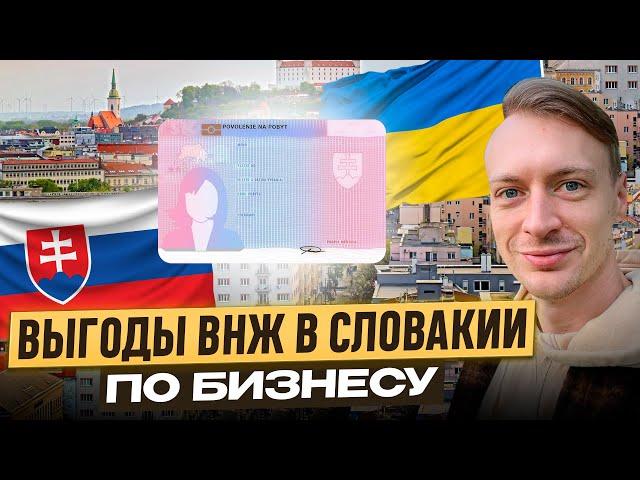 Выгоды ВНЖ по бизнесу в Словакии для украинцев