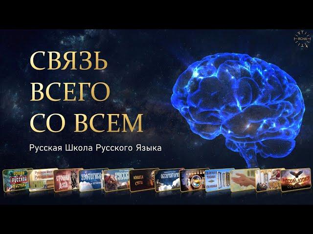 🟢 Прямой эфир. Связь всего со всем. Уроки с 27 по 42. Русская Школа Русского Языка.