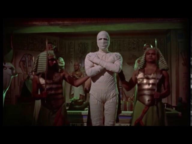 All Of Mummified Scenes From The Mummy Films 1932-2017