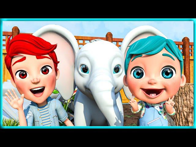 Zoo Adventure | Nursery Rhymes | Kids Songs | Coco Baby Crazy