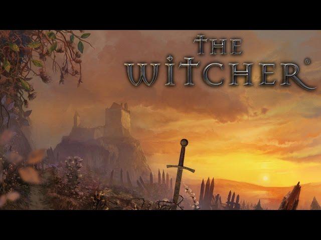 The Witcher прохождение с Карном. Часть 23 - Вызима  в огне