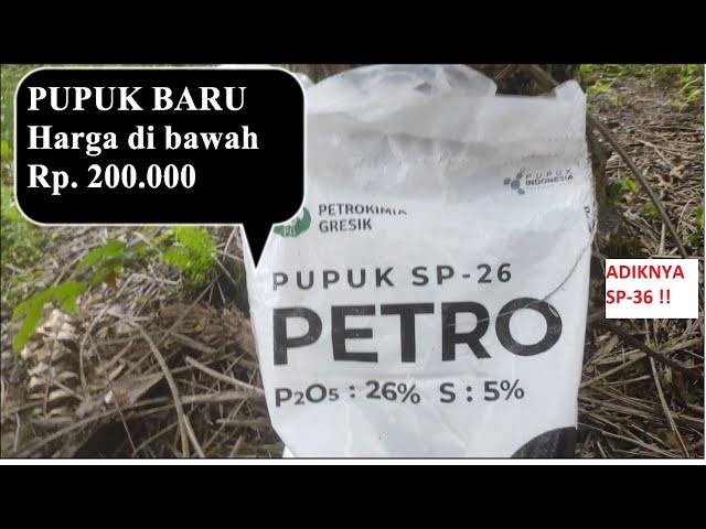 PUPUK BARU KELUARAN PETROKIMIA SP-26, pupuk terbaik untuk tanaman sawit agar berbuah lebat.