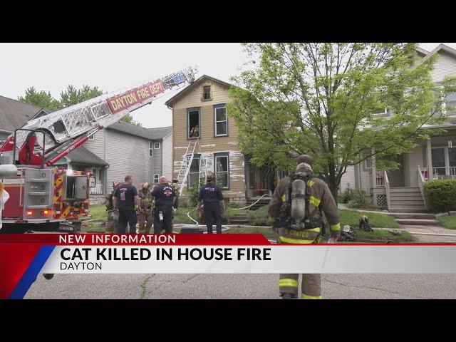 Cat killed in Dayton house fire