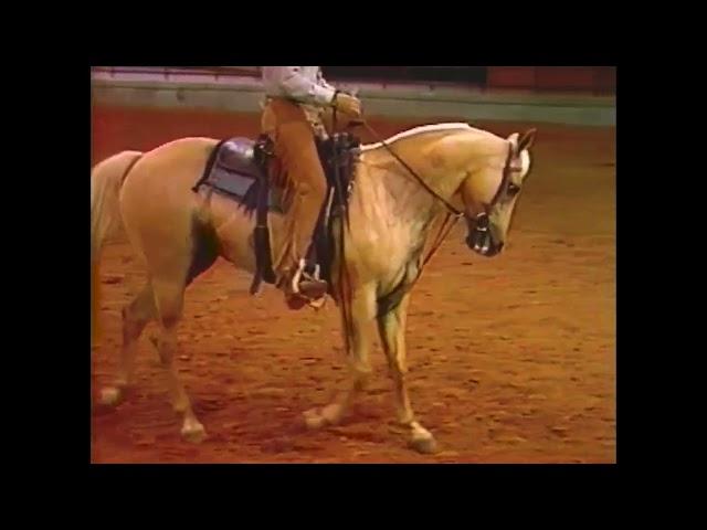 "You and Your Horse" VHS from 1986