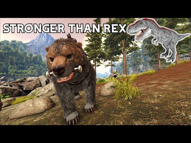 DIRE BEAR | THE FIRST DINO YOU SHOULD TAME | Ark Survival Evolved