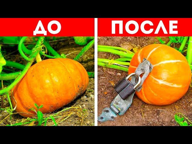 Простые хитрости для каждого садовода!