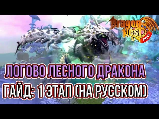 Гайд на Лесного Дракона: 1 Этап • New Dragon Nest