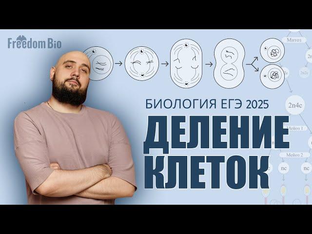 ДЕЛЕНИЕ КЛЕТОК - Митоз, Мейоз, Гаметогенез |ЕГЭ БИОЛОГИЯ 2025|Freedom|