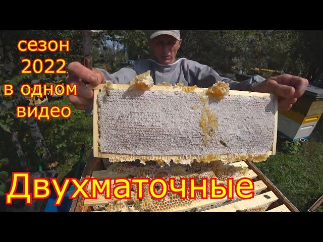 ДВУХМАТОЧНЫЕ СЕМЬИ! Сезон 2022 года в одном видео!