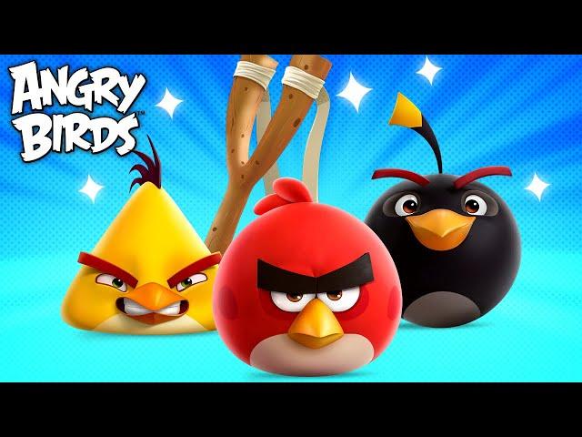 1 hour of Angry Birds Slingshotting!