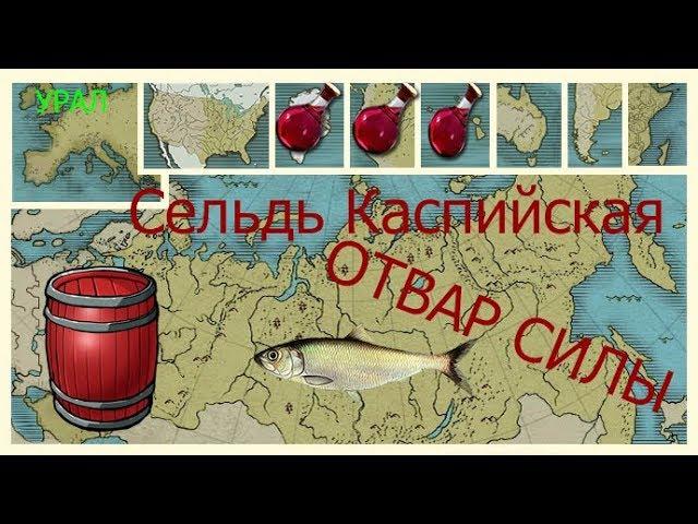 Русская рыбалка 3 (3.99) Ловим Сельдь Каспийскую на Урале (ОТВАР СИЛЫ)