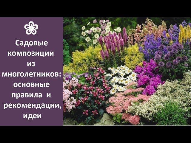  Садовые композиции из многолетников: основные правила и рекомендации, идеи