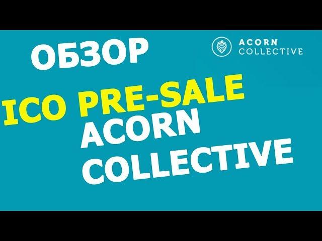 Обзор ICO 2018 pre-sale Acorn collective