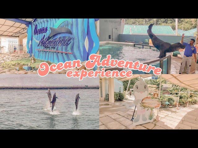 Ocean Adventure Subic Bay animal shows