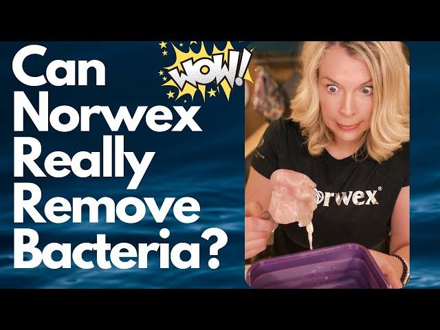 Can Norwex Really Remove Bacteria?