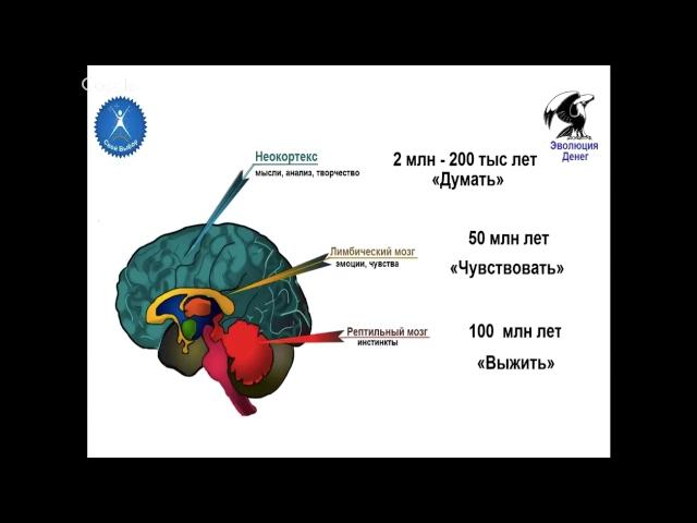 ВЕБИНАР № 11-4-18_ Богатый мозг vs Бедный мозг