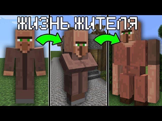ВСЯ ЖИЗНЬ ЖИТЕЛЬ МОБ МУТАНТ ЗА ОДИН ДЕНЬ В МАЙНКРАФТ ~ ЖИЗНЬ TROLLING MINECRAFT МУЛЬТИК