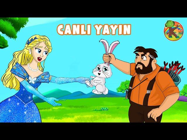 Türkçe - Çizgi Film & Çocuk Masalları - CANLI YAYIN | KONDOSAN