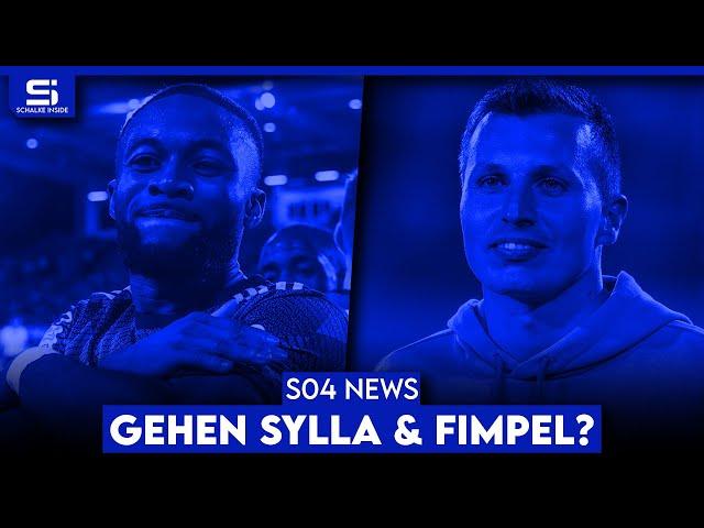 Tendenz gegen Fimpel! Nächste Woche neuer Trainer? Sylla im Winter weg? Lob für Grüger! | S04 NEWS