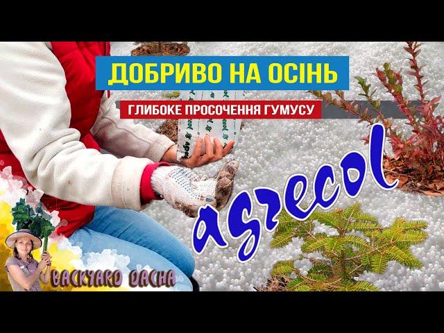 Терміново додайте добриво поки нема морозу. Добриво на осінь - глибоке всмоктування у гумус.