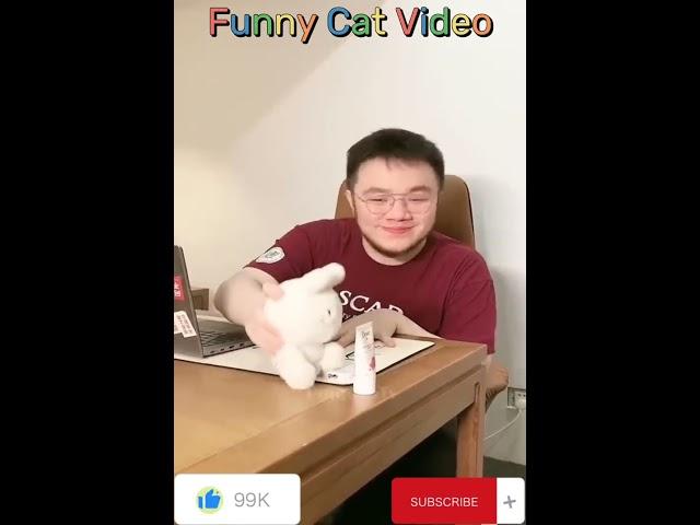 New funny Animail Cat Video Part 4 #shorts