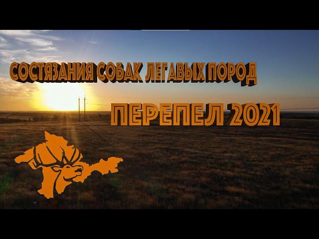 СОСТЯЗАНИЯ ПО ПЕРЕПЕЛУ 2021