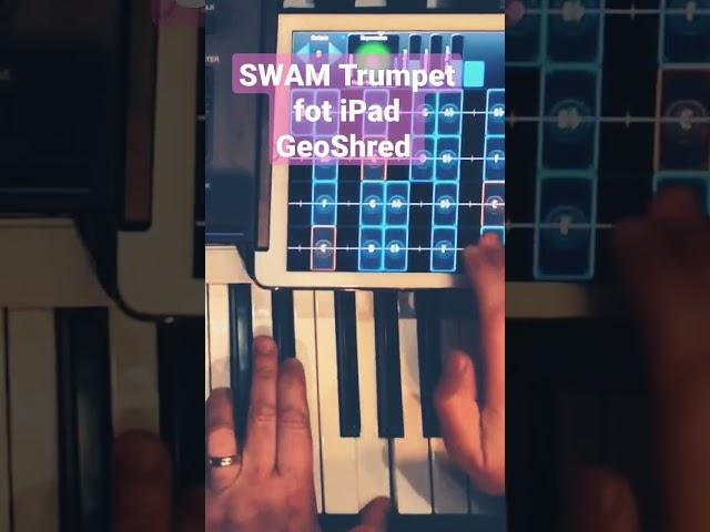 SWAM Trumpet for iPad #geoshred #swam#audiomodeling #agdugros