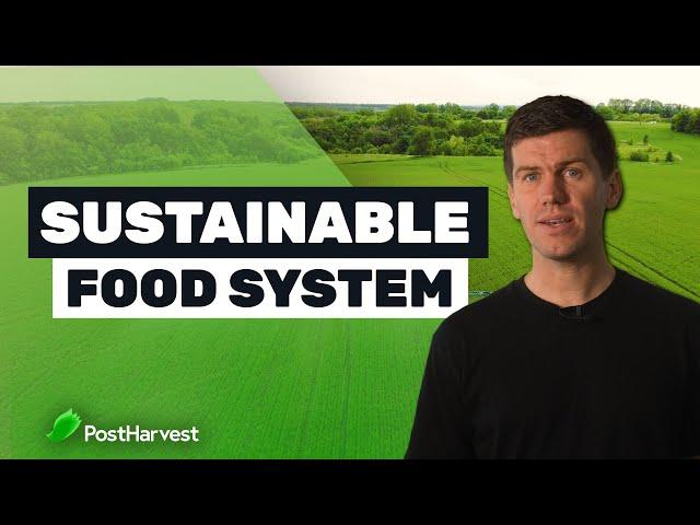 4 Ways to Build a More Sustainable Food System