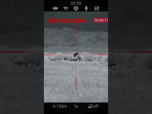 Hunting coyotes suppressed “New Kovix suppressors” #lightweightcans