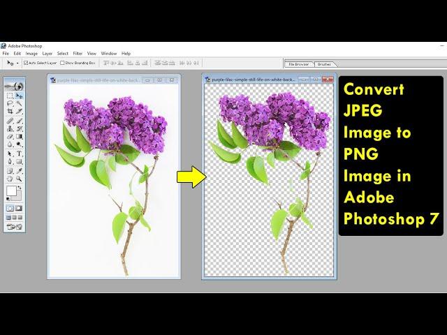 How to Convert JPEG Image to PNG Image in Adobe Photoshop 7