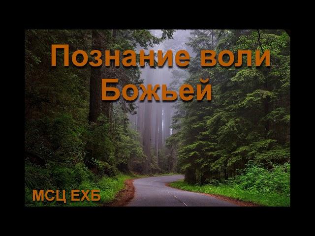 "Познание воли Божьей". В.  Перевозчиков. МСЦ ЕХБ